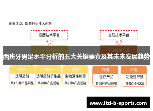 西班牙男足水平分析的五大关键要素及其未来发展趋势