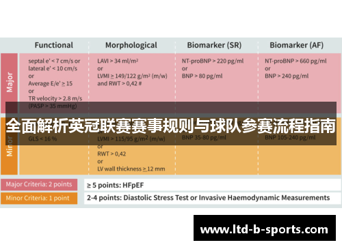 全面解析英冠联赛赛事规则与球队参赛流程指南 全面解析英冠联赛赛事规则与球队参赛流程指南
