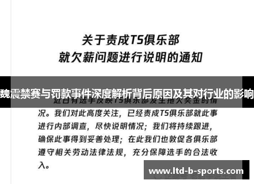 魏震禁赛与罚款事件深度解析背后原因及其对行业的影响