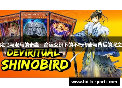 魔鸟与老马的奇缘：命运交织下的不朽传奇与背后的深意