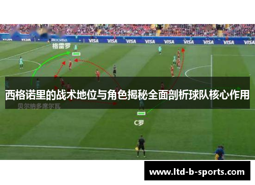 西格诺里的战术地位与角色揭秘全面剖析球队核心作用