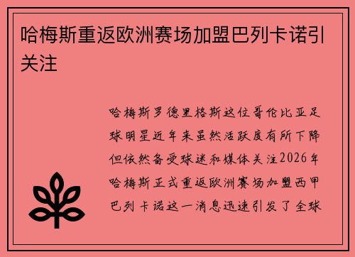 哈梅斯重返欧洲赛场加盟巴列卡诺引关注